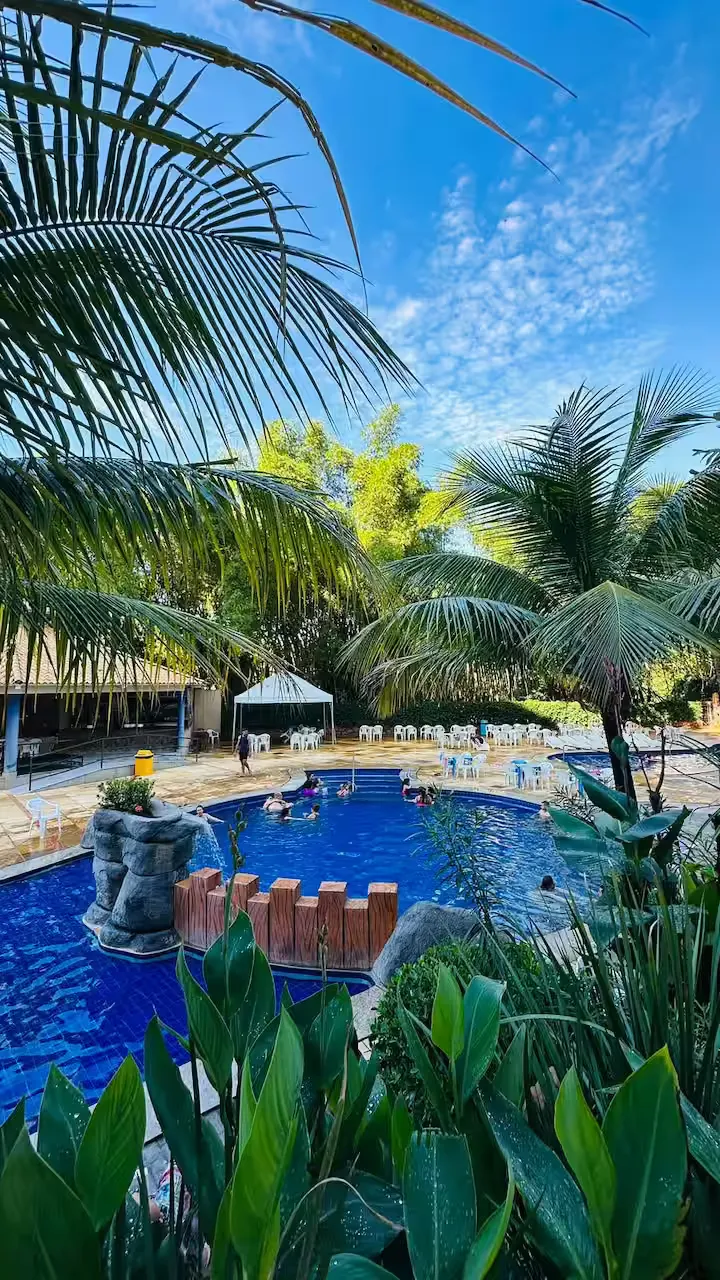 Piscina cercada por coqueiros na área de lazer do clube